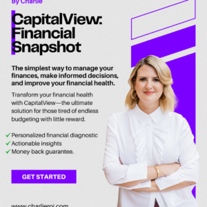 CapitalView Financial Snapshot